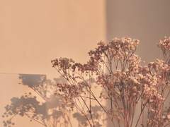 우리의 대화는 음악이 되고