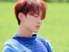 네버 러브 어게인