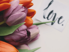 [쿠로켄] 섭씨 94~95(℉) 사이