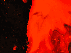 가야 설정 및 연성 백업