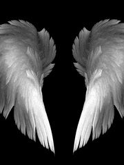 흑과 백의 경계