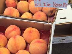 숨참고 xx 다이브