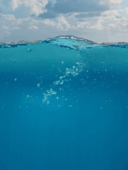 愛される弱者になりたかった