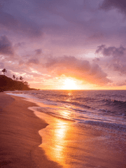 캘리포니아 하입 보이