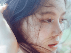 사랑은 다시 돌아와