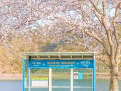 이상형때문에버정에서1시간30분기다린썰