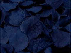 한 번 폭군은 영원한 폭군