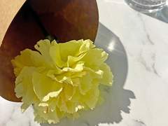 ⁘Rumor, and Hates⁘