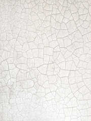 돈세노 후회여주 