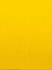 스노만 형제 설정