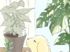 그림 낙서 모음 2