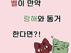 고백데이 기념