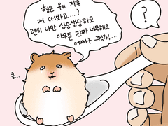 [동지혁성] 웨 자꾸 저 떠봐요?