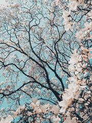 흔한 사랑 이야기