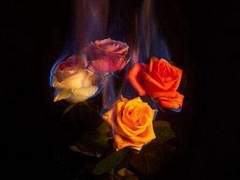 어두워지고 심장은 멍들고_1화