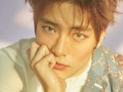 모여봐요! 동물의 숲 13