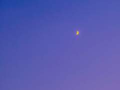 달 사진 무료 배포 합니다