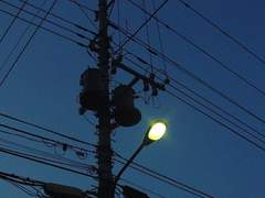 [토라후유] 다시, 인생 1단계