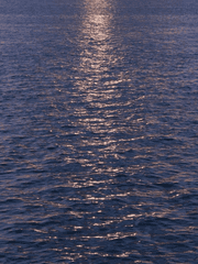 사이버인형놀이