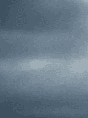 사네미와 드림주