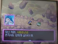 솜싹 커뮤 정리