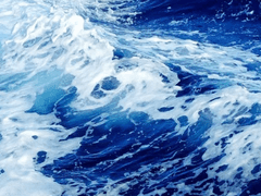 아사히마에 모모하나