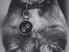 Dancing with the Devil