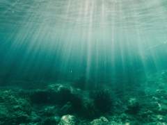 애정은 바다 같아서