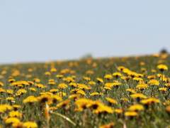 쉽지 않은 일을 이뤄냈을때 짜릿한 법이죠.