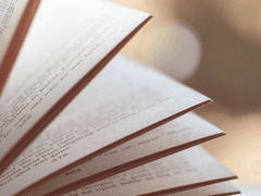 여백의 자리에 들어찬 것은 (미완성)