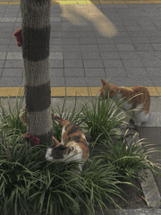 사랑과 우정 사이