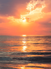 나를 향한 다정