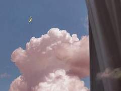 첫 장의 페이지