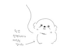 산책하다가 만난 강아지