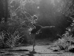 죽음으로 다다르던 왈츠의 결말