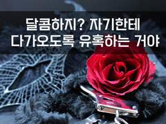 8. 다가오도록 유혹하는 거야