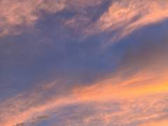 맨 프롬 플루토 (Man from Pluto) 6