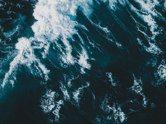 Der Zweck des Lebens ist das Leben selbst.