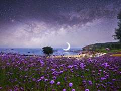 [벨져릭] 에델바이스 05.