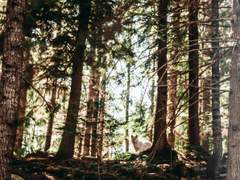 빨간 망토(Little Red Riding Hood)