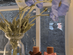 서울 지역 자캐 향수 공방