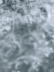 그만하고 올라와. 너 심해 공포증 있잖아.