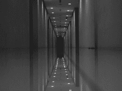 전지훈련 행동지침 5