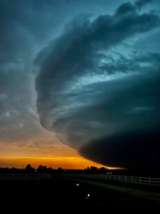 프리츠행맨루스터 / Sl.w Ride in a St.rm