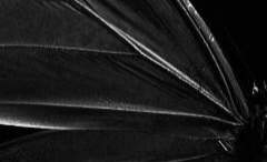 나는 뼈대만 남아 구워 먹기 딱 좋은 날개를 가졌어요*