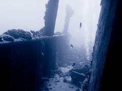 사람을 살게 하는 것은,