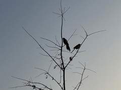 9장. 숫자의 의미