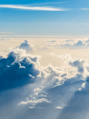 테스타 도안배포