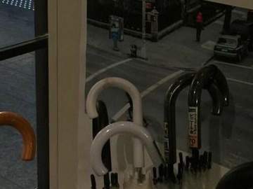 육지의 인어공주는