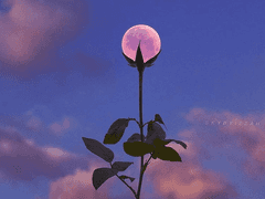 러브 익스클루시브 02